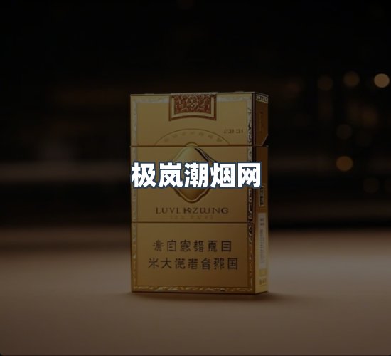 关于极岚潮烟网